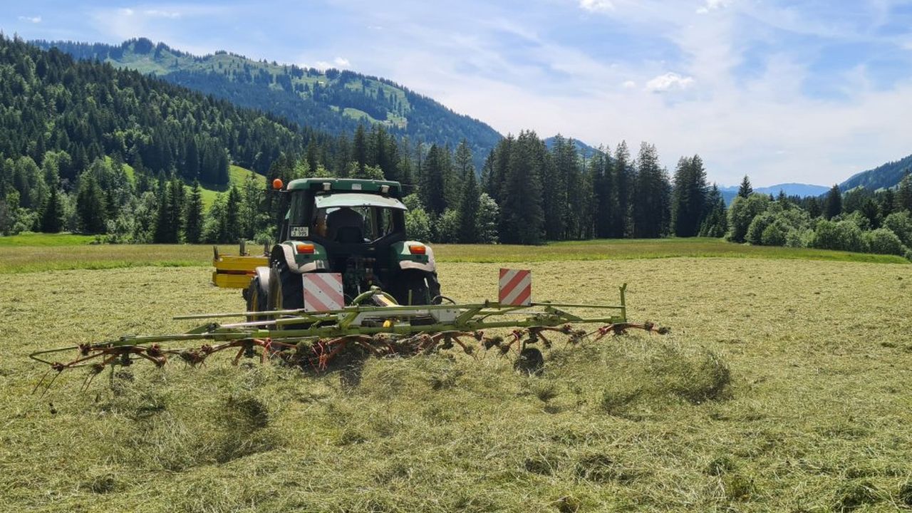 Heuarbeiten mit dem Traktro Heuarbeiten mit dem Traktro